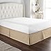 Hotel Luxury Bed Skirt/Dust Ruffle 1800 Platinum Collection-14 inch Tailored Drop, Wrinkle & Fade Resistant, Linens (King, Taupe)