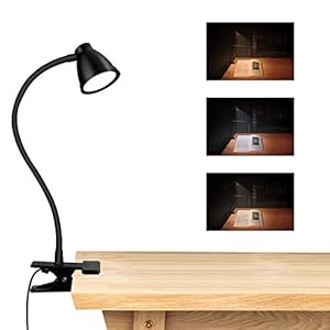 Bureaulampklem, CestMall LED-bureaulamp met klem Dimbare clip op leeslicht Instelbare kleurtemperatuur, Mini USB-tafellamp Verstelbaar 360 graden clip Leeslicht voor lezen, werken
