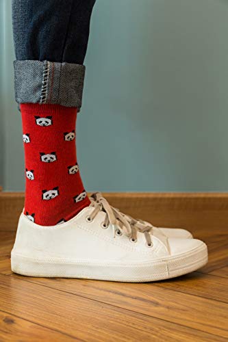 Image of Mint & Oak Printed Crew Socks For Men, Soft Cotton Calf Length Socks, Colorful Sock Gift For Men, Anti-Microbial & Odour Free, Funky Socks - Gift Box of 3