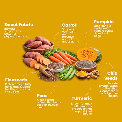 Image of Plant Based Vegan Dog Food for Puppies | Dry Puppy Food with High Protein & Fibre | Supports Gut Health, Digestion & Complete Nutrition (Puppy Food 2kg)