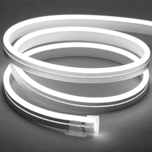 Planetitaly Striscia LED neon flessibile flex ribbon impermeabile 12V luce esterni decorazione giardino feste insegne pubblicitarie tubo luminoso IP65 (6000K)