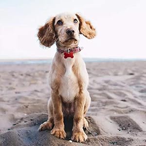   30-Pcs-Bone-Shape-Pet-ID-Tag-Blank-38MM-Personalized-Aluminium-Pendants-Tag-Dog-Cat-Pet-Name-Phone-Number-ID-Tag-Charm-with-Key-Ring-for-Dogs-Cats