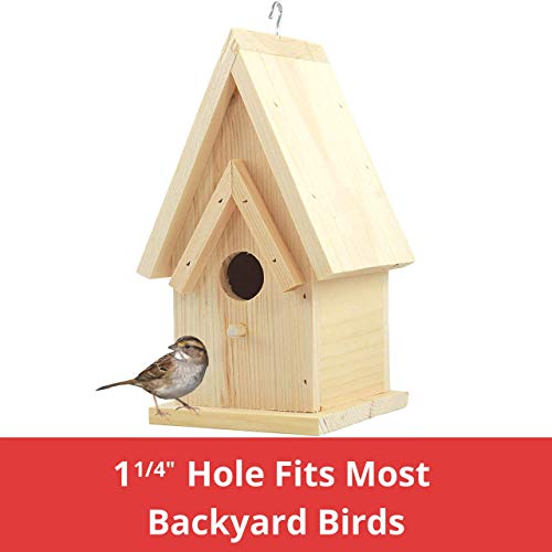 Unfinished Birdhouse To Paint For Birdwatching With Perch, Natural Wood Pine Frame For Finches And Songbirds, Heavy Duty Outdoor Hanging Use (9.0") #TOP4