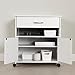 South Shore 2-Door Printer Stand with Storage on Wheels, Pure White