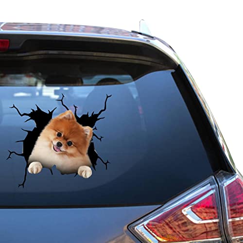 Pomeranian Stickers Decals Pomeranian Dog Gifts Funny Warning Car Sticker for New Driver 3D Trucking Aufkleber
