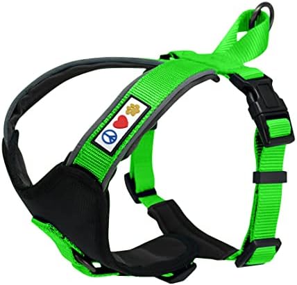 Pawtitas Pet Accessories Adjustable Padded Reflective Dog Harness, Step In Or Vest Harness, Comfort Control Walk, Puppy Trainer, Reduces Pull Tugging, Choking M MediumTeal