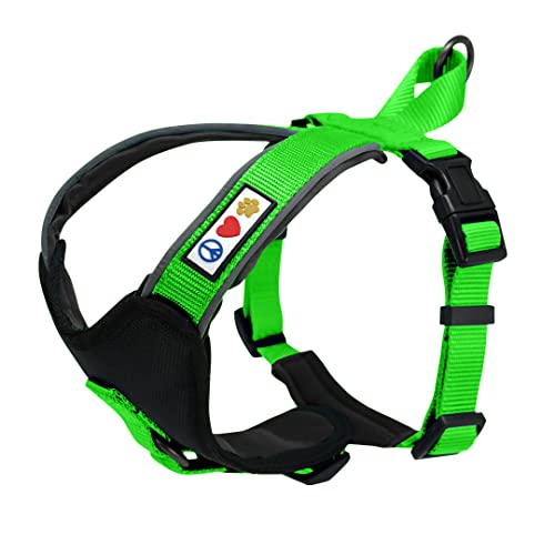 Pawtitas Vest Adjustable Padded Reflective Dog Harness Provides Comfort Control For Walk, Train And Reduces Pull Tugging Great Pet Accessories | Step In Dog Harness Large Green Vest #TOP26