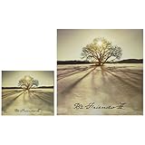 【Amazon.co.jp限定】「FRIENDS III」 (初回限定盤) (CD+DVD) (メガジャケ) - B'z