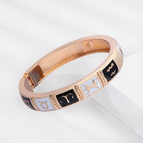 UJOY Fashionable Bracelets Constellation Dolphin Enameled Bangles Spring Hinged Cloisonne Jewelry 55C38 brown - Image 5