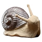 Decoración de cerámica de caracol está hecho de material cerámico resistente, que es adecuado para interiores o exteriores