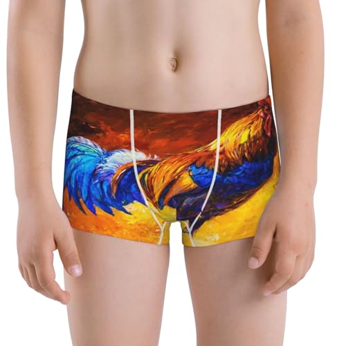 Boys' Cotton Boxer Brief Soft Underwear-Colorful Rooster