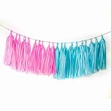 AimtoHome Tassel Garland Tissue Paper Tassel Banner, Tassels Party Decorations Supplies for Gender R
