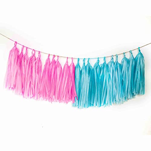 Aimtohome Tassel Garland Tissue Paper Tassel Banner, Tassels Party Decorations Supplies For Gender Reveal Party,Wedding,Birthday,Bridal/Baby Shower,Diy Kits,Pack Of 20 - (Pink And Blue) #TOP20