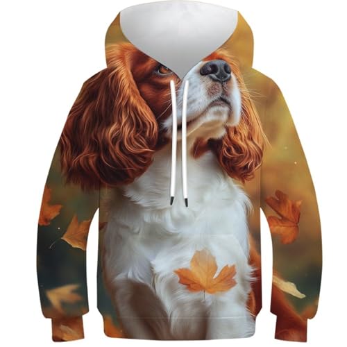Sweat à Capuche 3D Chien Garçon : Le Pull Idéal pour la Récré d'Automne