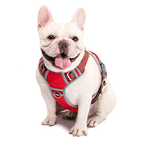 WALKTOFINE Dog Harness No Pull Reflective, Comfortable Harness with Handle,Fully Adjustable Pet Leash