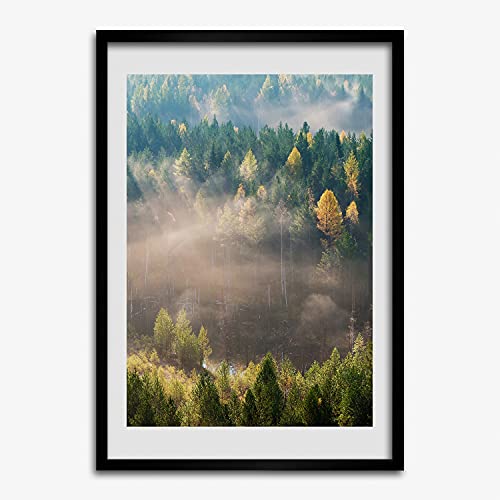 Cadre en Bois 50x70 cm Tulup Tableau Brouillard au-dessus de la forêt Mdf