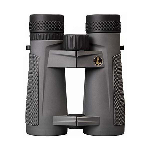 Leupold BX-5 Santiam HD Fernglas, 10 x 42 mm (174483) – Bild 3