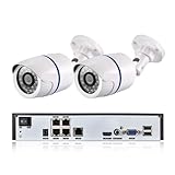 VEKELETE Sistema de cámara IP PoE de 5 MP y 48 V con visión Nocturna for Exteriores, Kit NVR de 4 Canales(None,4CH NVR and 2CAM)