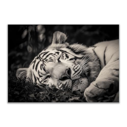 DMZPKZB tableau noir et blanc tigre Impression sur toile,Vintage Murale Art Print,Image Tableau Decoration Murale,Poster Deco pour Chambre Salon(Noir et...