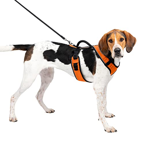 PetSafe EasySport Harness, Adjustable Padded Dog Harness with Control Handle and Reflective Piping