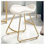  AZICYN Pouf Repose-Pieds Repose-Pieds Repose-Pieds Pouf Canapé Repose-Pieds Tabouret de Maquillage Banc à Chaussures Tabouret en Fer forgé Dossier Chaise Tabouret à Ongles Décoration d\'in