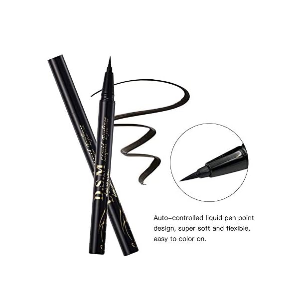 SEILANC Waterproof Liquid Eyeliner Long Lasting&Smudgeproof Eye Liner 2 Packs Precise Eyeliner Pen for All Day with Slim Tip, Black