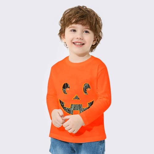 Image of AIWUHE Toddler Cotton Sweatshirt Boys Girls Pullover Long Sleeve Tops 2-6Y