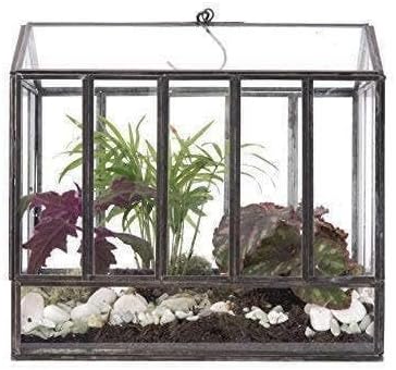 Black Glass House Terrarium – 10×7×10″ Geometric Indoor Planter Display Case