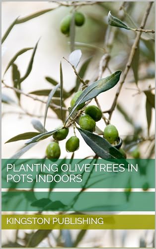 Reviews y listado de Bonsai olivo favoritos de las personas. 20 Planting Olive Trees in Pots Indoors (Growing Fruit in Pots) (English Edition)