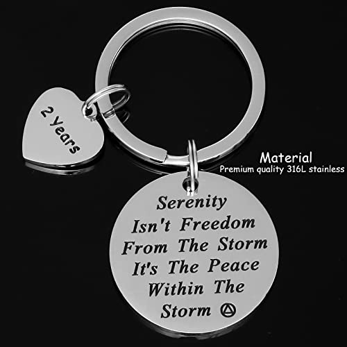 HUTIMY Sober Gifts for Women Keychain Gifts for Sobriety Anniversary 2 Years 2yr Key Chains Na Recovery Jewelry for Men Sober Jewelry2