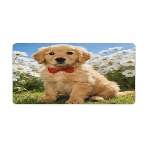 Alfombrilla grande para escritorio Dewey Desk Pad resistente al agua