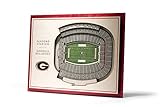 YouTheFan NCAA Georgia Bulldogs 5-Layer StadiumView 3D Wall Art - Sanford Stadium