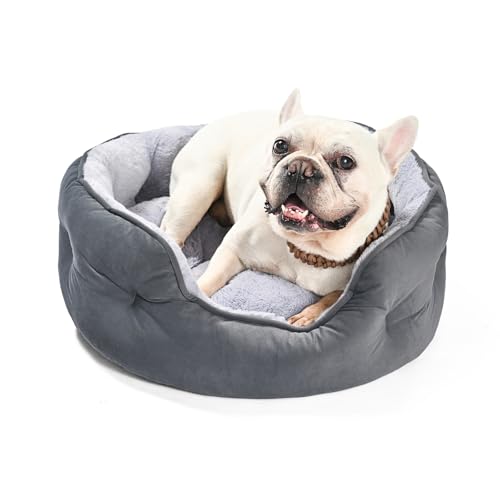 Amazon Basics Cuddler Pet Bed for Indoor Cats and Dogs with Soft Plush Cushion, Non-Slip Bottom, Gray, Medium
