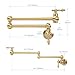 Besdor Gold Pot Filler Faucet, Wall Mount Over Stove Faucet, Commercial Brass Pot Filler Brushed Gold, Double Joint Swing Arms, Single Hole Two Handles Folding Kitchen Faucet