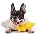 PEANUTS for Pets Charlie Brown Woodstock Vinyl Squeaker Dog Toy | Squeaky Dog Toy for All Dogs | Charlie Brown Plastic Dog Toys for Aggressive Chewers - Fun and Cute Yellow Dog Chew Toy, 5.5 Inch