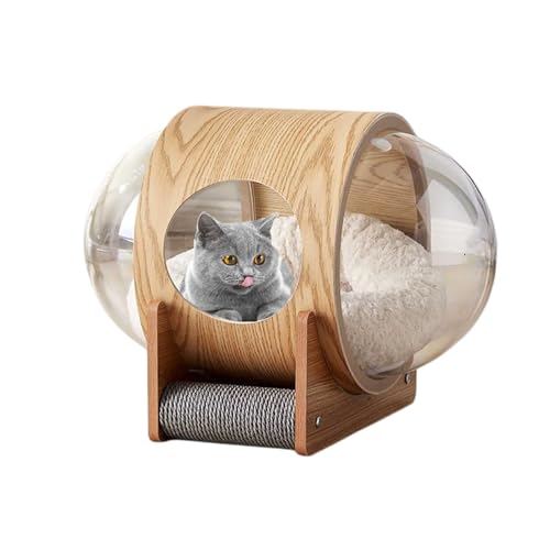 FD LnEX ybgpxbh h[ uΉ LbgnEX Ƌ Lbgxbh ؐ LnEX Lp ybg JvZ^ lRnEX ؐ IV lGʗp  ʂ݃pbht (FJvZ _uRp[ggFJ