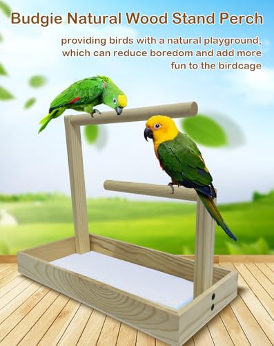 Image of Small Bird Training Stand Portable Tabletop Birds Perch Desktop Platform Training Perch with 5 Pcs Disposable Pads Parakeet Play Gyms Exercise for Budgie Conure Parrot Cockatiel Lovebird