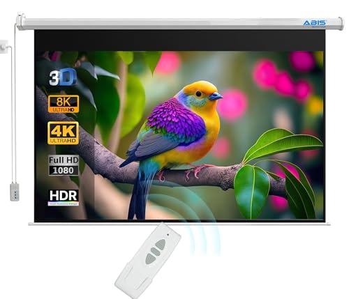 ABIS 120" Electric Projector Screen, 16:9