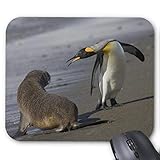  Mauspad mit seidenweicher Textiloberfl?che - Mouse Pad Paradise (antistatische Wirkung - perfekte Gleiteigenschaft PC / Computer Mousepad)-Antarktis S¨¹d Georgien Insel Gro?britannien king