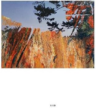 洋書 Gerhard Richter: Overpainted Photographs Gerhard Richter: Overpainted Photographs: Strauss, Botho, Hustvedt