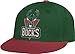 NBA Milwaukee Bucks Flat Brim Flex Fit Wool Hat, Large/X-Large