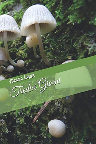 Tredici Giorni (Italian Edition) [Italian] 1654359343 Book Cover