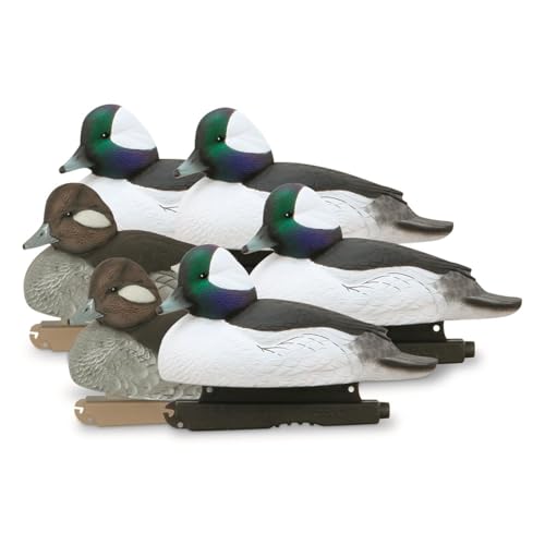 Avery GHG Hunter Series Over Size Foam Filled Bufflehead Duck Decoy | 4 Drakes, 2 Hens | 60/40 Dura-Keel (6-Pack) - 77163