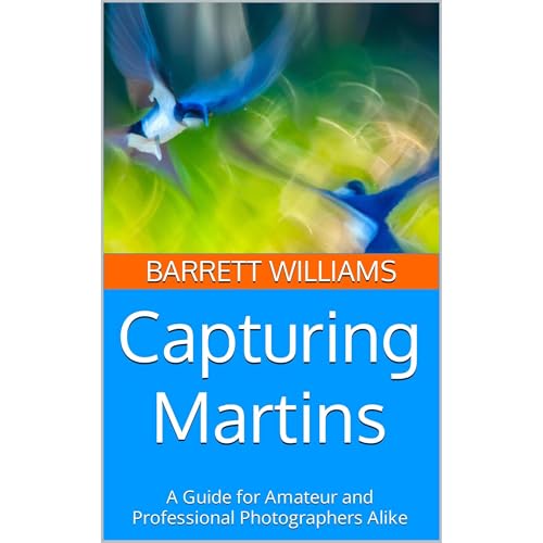 Capturing Martins by Barrett Williams, ChatGPT ChatGPT episode artwork