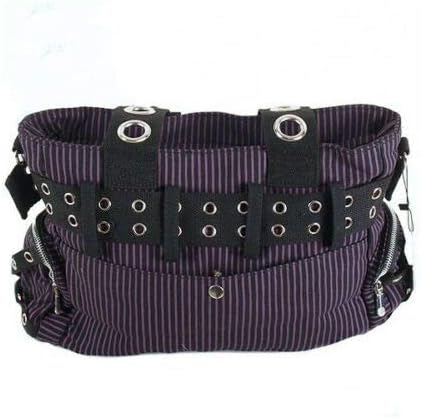 Lost Queen Striped Punk Rock Steampunk Purse with Handcuff Skull Charm - Image 2