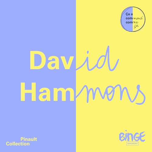 Page de couverture de David Hammons - New York brûle sous la neige