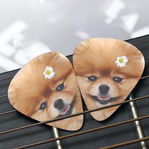Médiators en celluloïd coloré avec motif chien avec fleur – 3 épaisseurs différentes – Pour basse, amateurs de musique – Pour guitare électrique et acoustique – Comprend 0,46 mm, 0,71 mm, 0,96 mm - Les Beatles, Paul McCartney, John Lennon, RIngo Starr, George Harrison Médiators en celluloïd coloré avec motif chien avec fleur - 3 épaisseurs différentes - Pour basse, amateurs de musique - Pour guitare électrique et acoustique - Comprend 0,46 mm, 0,71 mm, 0,96 mm – Image 8