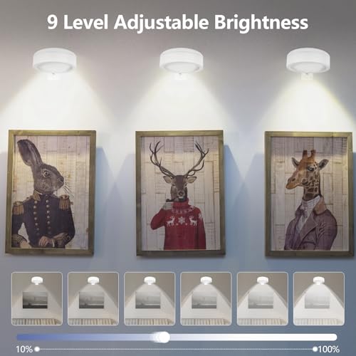 Image of Picture Lights for Wall, 2000mAh Rechargeable Battery Magnetic Poster Lights with 2 Color Modes&13 RGB, Dimmable Timer Painting Light, Wall Decor Light for Art Display and Picture