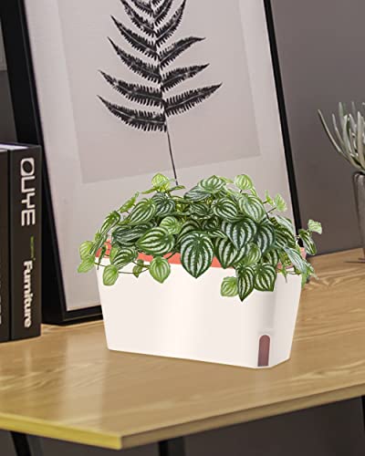 Gardenbasix Self Watering Planter Pots Window Box For Indoor Plants Home Garden Modern Decorative Flower Pot For All House Herbs Succulents Set Of 6 (6, Clay(Rectangle)) #TOP5