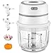 Gintan Mini Hachoir Électrique, Hachoir Alimentaire Processeur de Hachoir Légume avec 300ML Bol en Verre, Hachoirs à Viande Électrique pour Aliments pour Bébé, Viande, Piment, Ail, Fruits Mini Mixeur